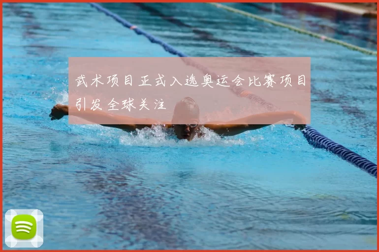 武术项目正式入选奥运会比赛项目引发全球关注
