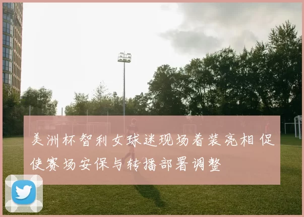 美洲杯智利女球迷现场着装亮相 促使赛场安保与转播部署调整