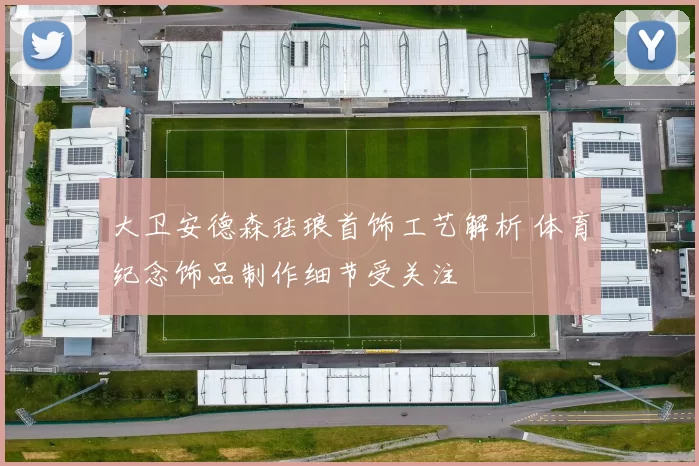 大卫安德森珐琅首饰工艺解析 体育纪念饰品制作细节受关注