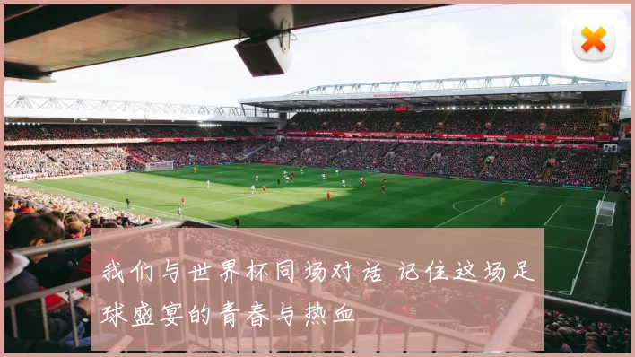 我们与世界杯同场对话 记住这场足球盛宴的青春与热血