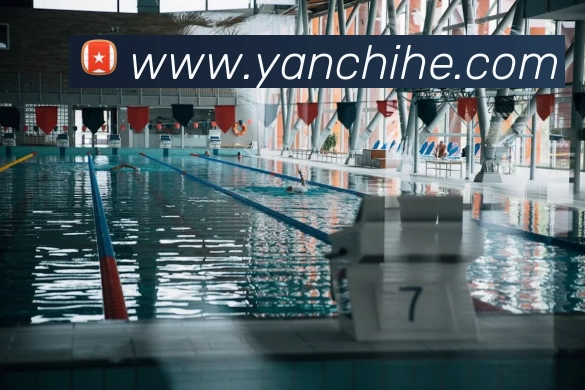 多媒体互动体验